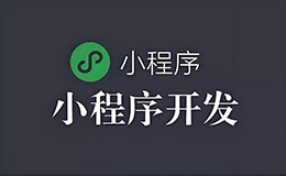 「廣州網(wǎng)站建設(shè)」廣州小程序開(kāi)發(fā)公司哪家好？